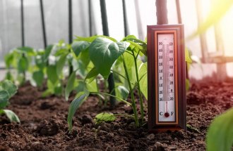 shutterstock.com / Sabrewolf: Как защитить растения от жары в теплице
